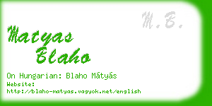 matyas blaho business card
