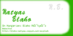 matyas blaho business card